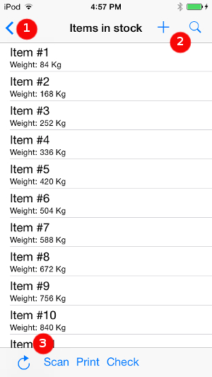 Screen shot of an iOS app labeling the navigation bar, the common action pane, and the toolbar pane.